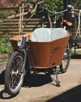 V&eacute;lo cargo longtail